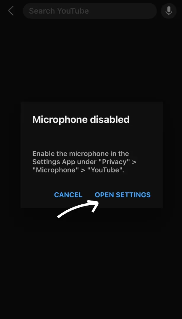 microphone is disabled tap on the open settings