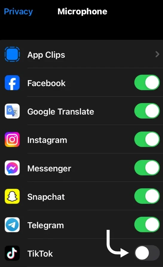 turn on the microphone switch for TikTok