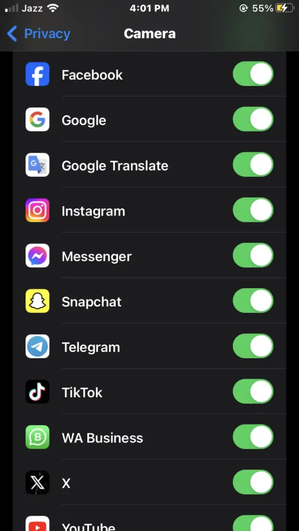 disable any app switch to delete green dot on iPhone