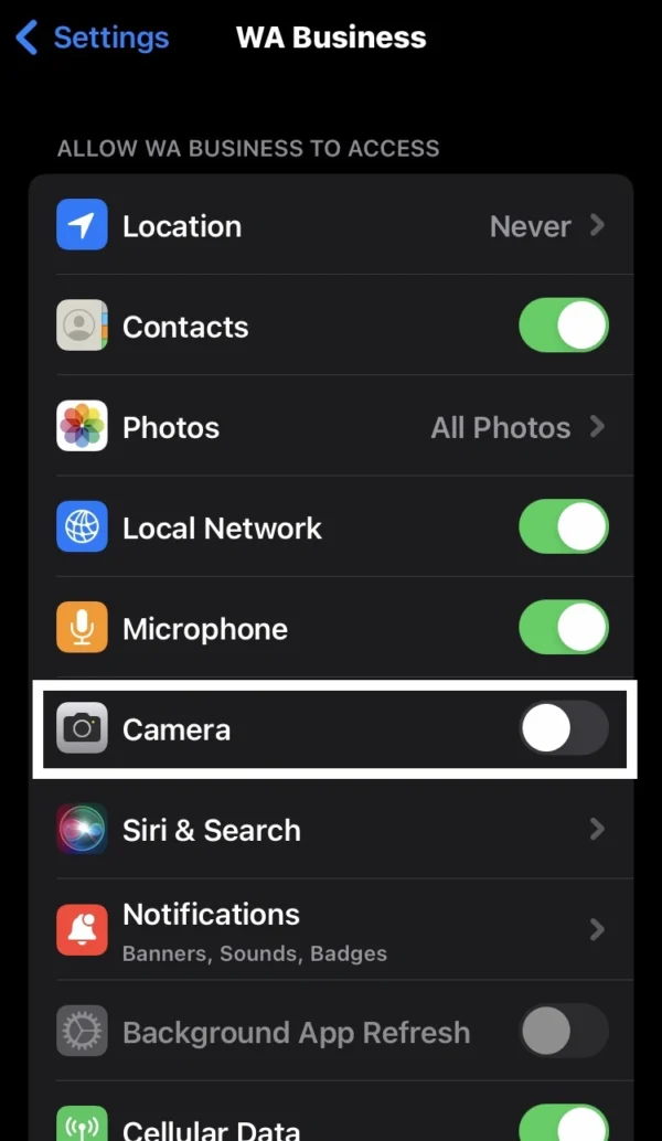 to enable it toggle the camera switch from left to right