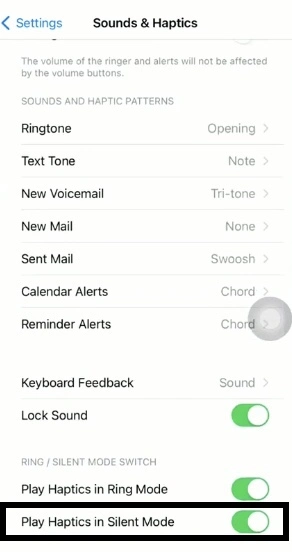 Toggle the play haptics in silent mode switch from left to right