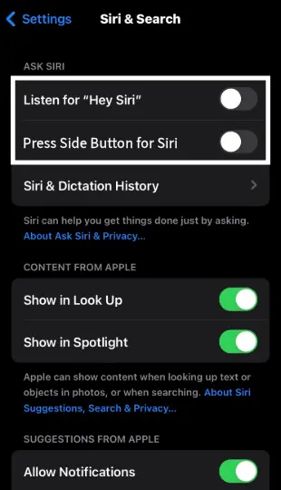 Turn on the Home for Siri switch