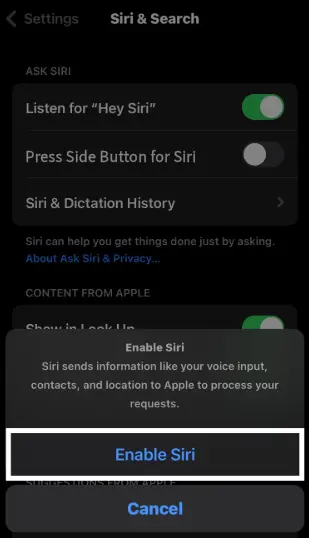 enable the Siri switch