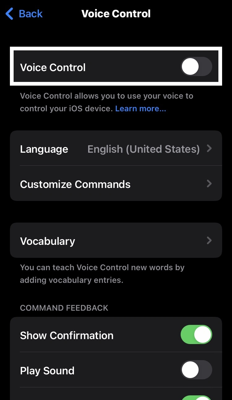 enable the Voice Control switch by toggling from left to right