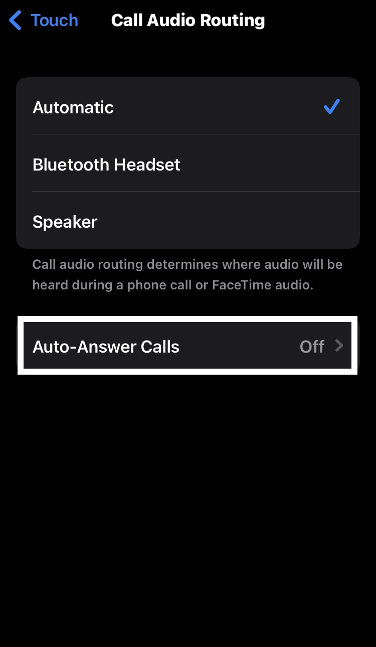 go into the Auto Answer Calls option