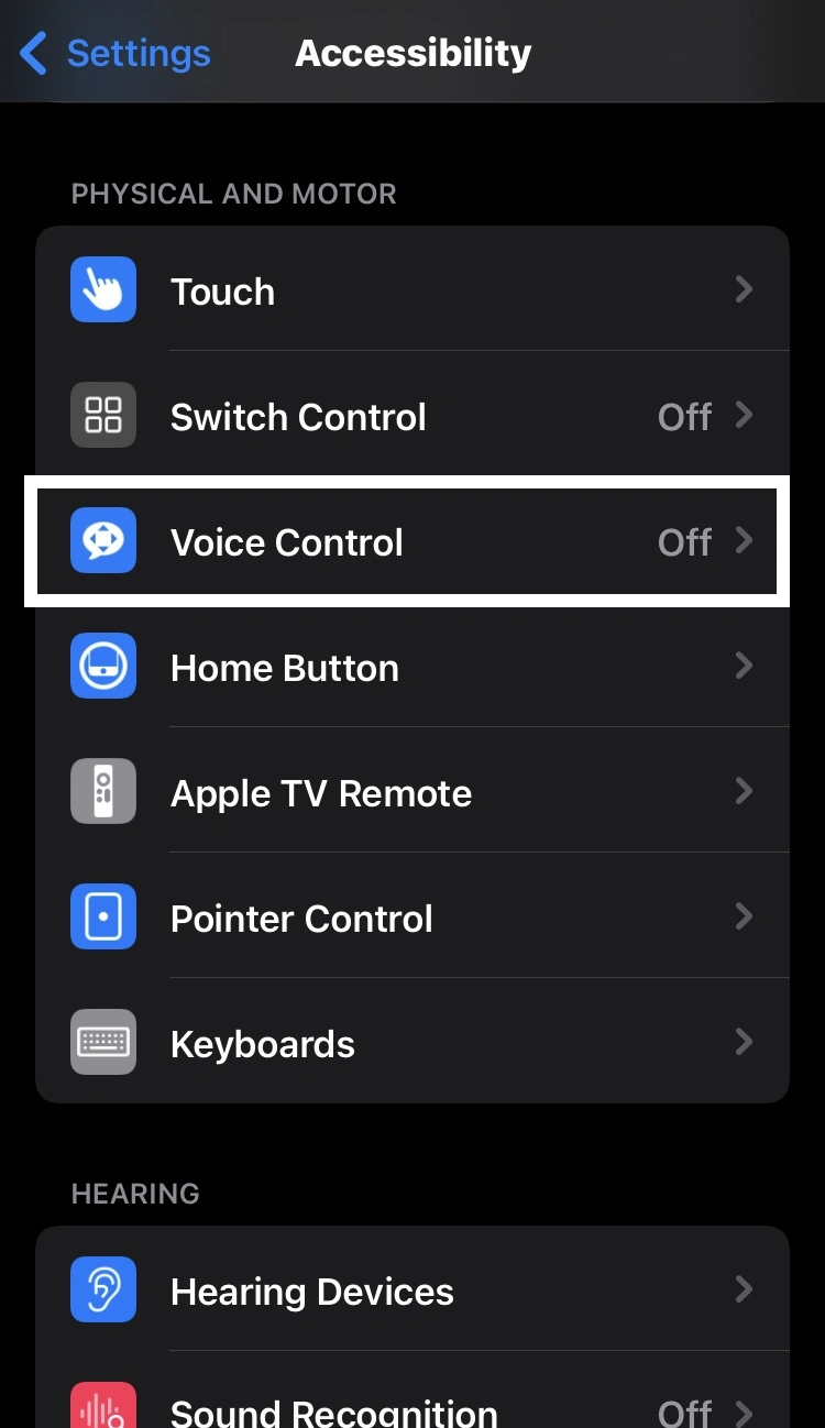 go into the Voice Control option