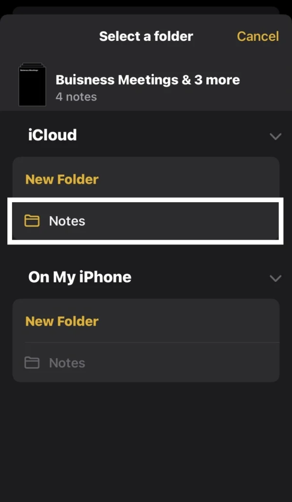 select the Notes option under the iCloud section