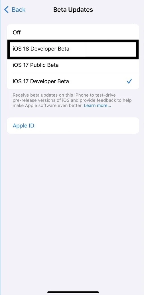 choose the iOS 18 developer beta