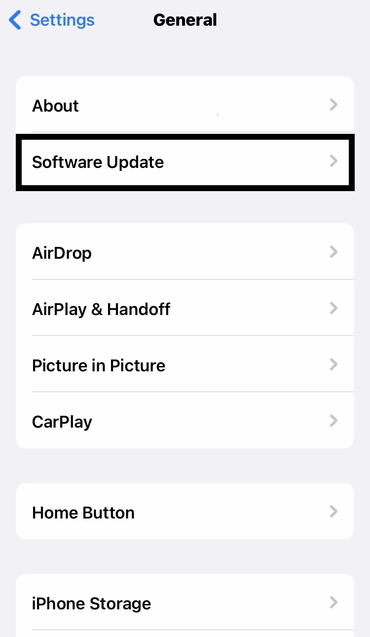 select the software update option