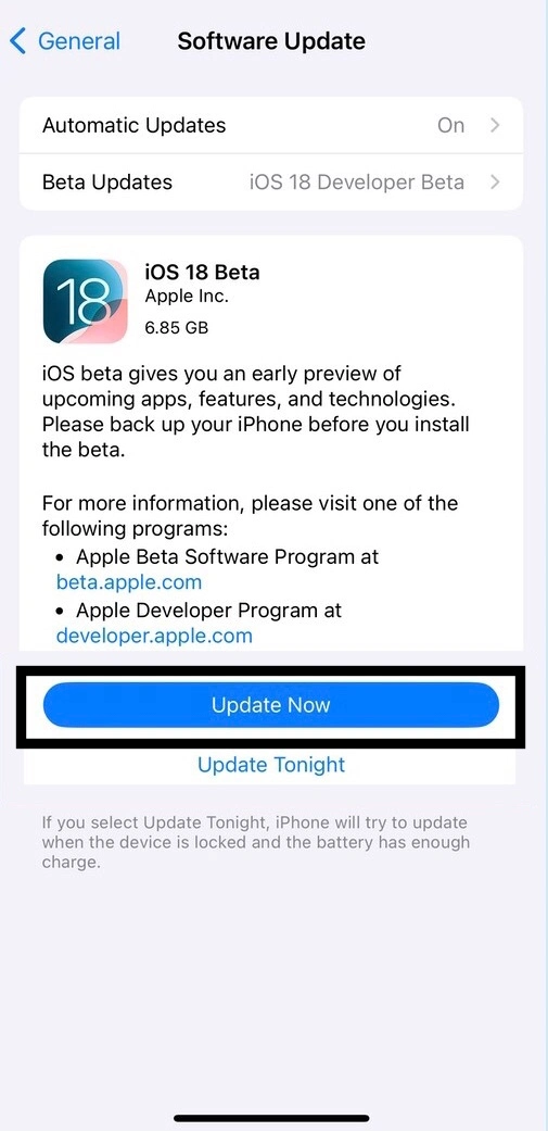 tap on the update option to download iOS 18 developer beta